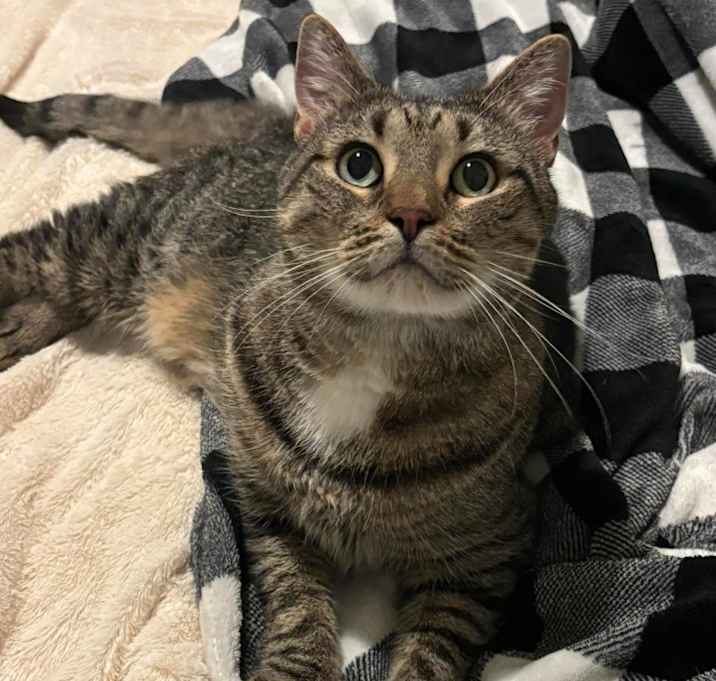 Photo of Buttercup