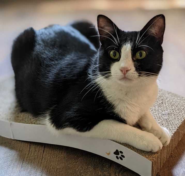 Photo of Mason