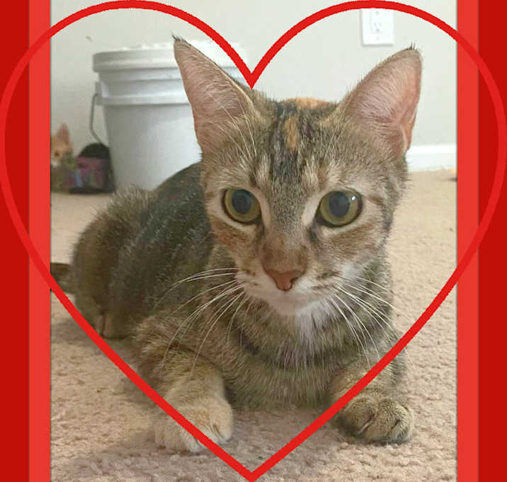 Photo of Barbara