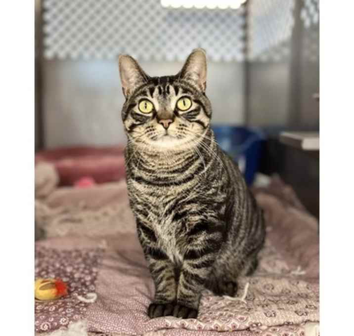 Photo of Baby Girl