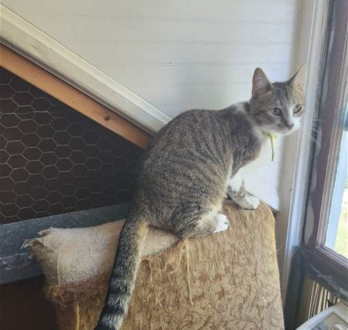 Photo of Truffle