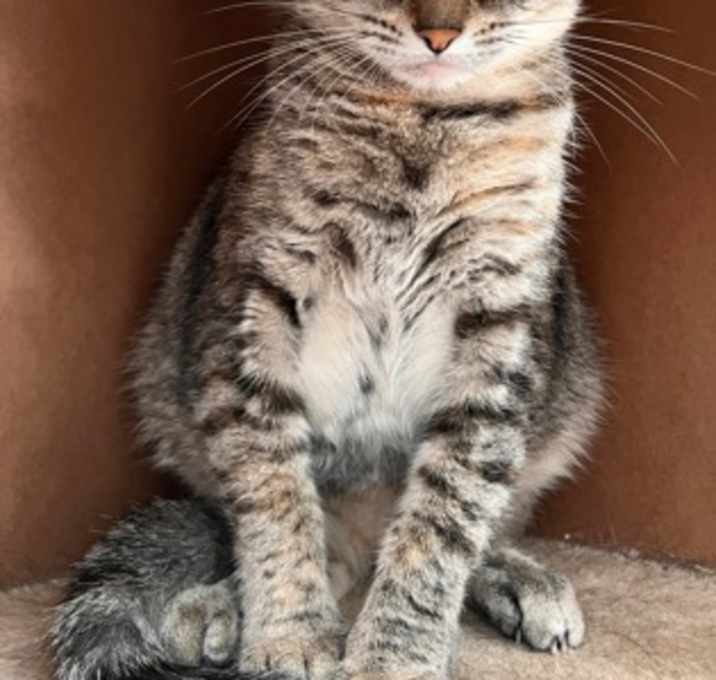 Photo of Puma