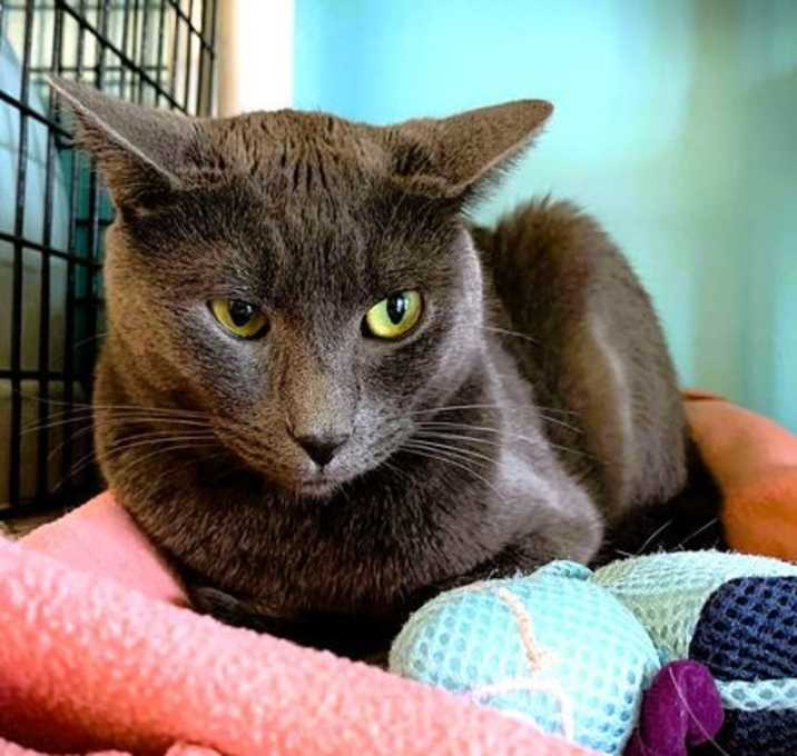 Photo of Hermes