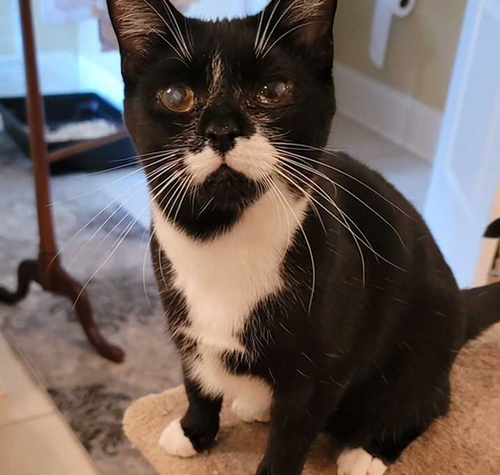 Photo of Minnie