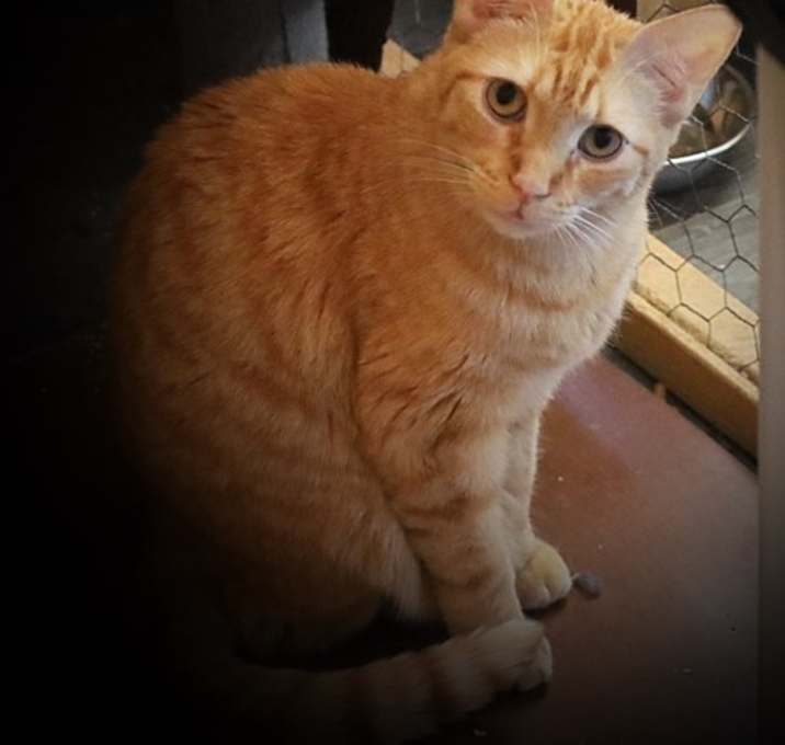 Photo of Noir