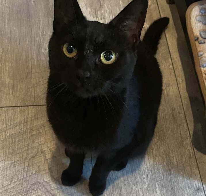 Photo of Clover