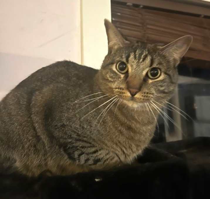 Photo of Fergus S