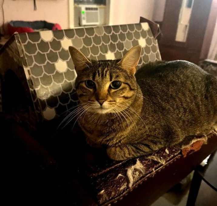 Photo of Tabitha S