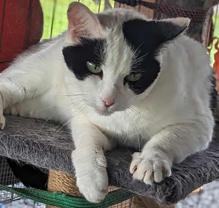 Photo of Maggie