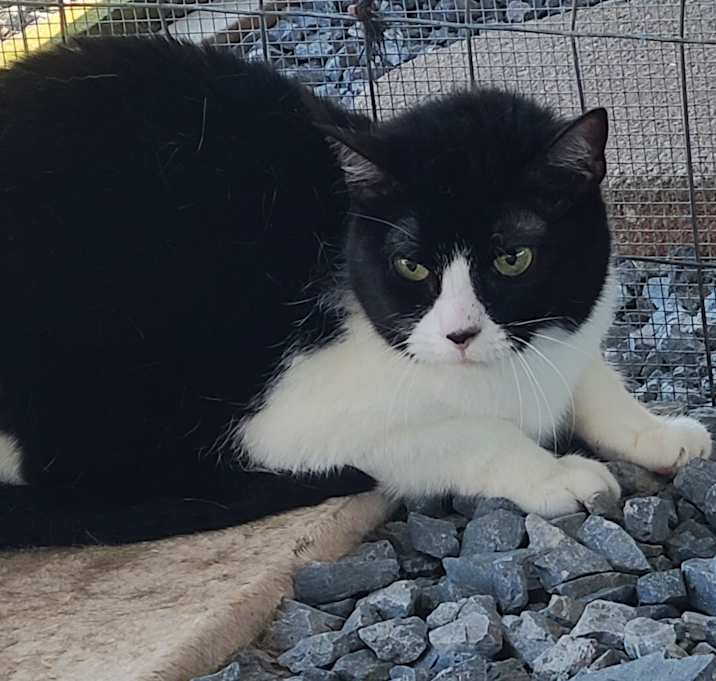 Photo of Sylvia