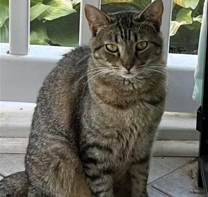 Photo of Lizabet