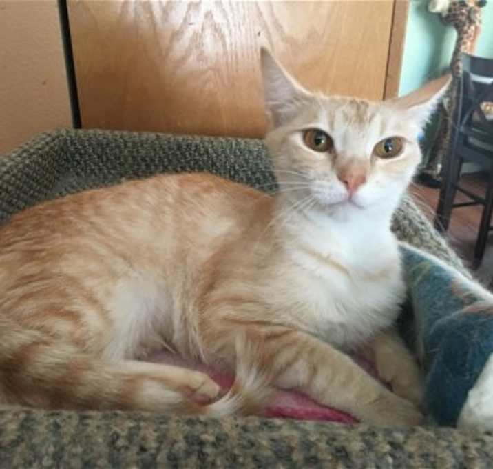 Photo of Rosebud