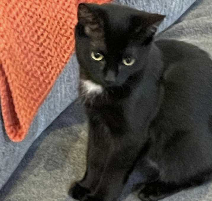 Photo of Laurel