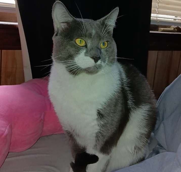 Photo of George