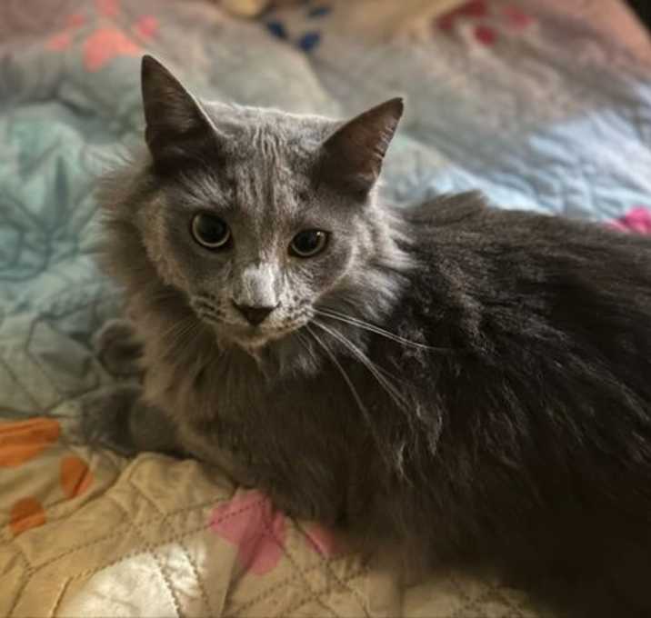 Photo of Jasper