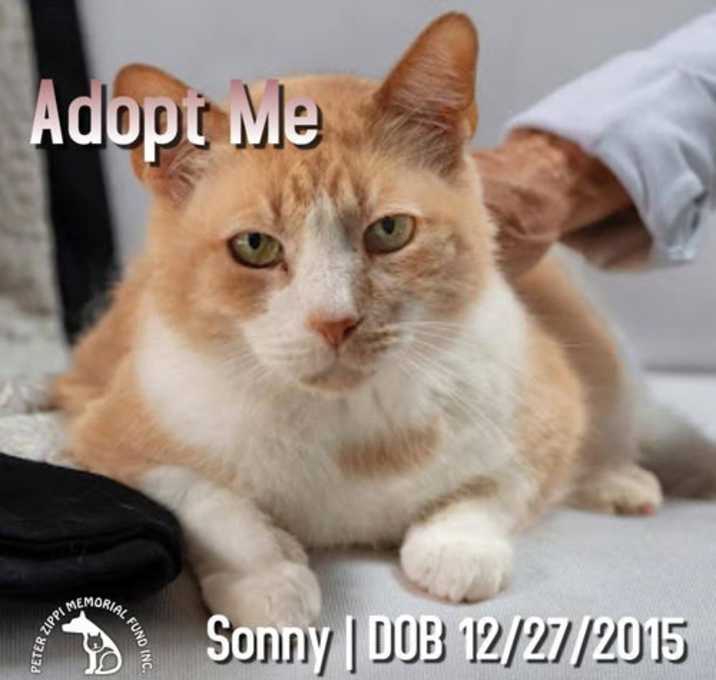 Photo of Sonny
