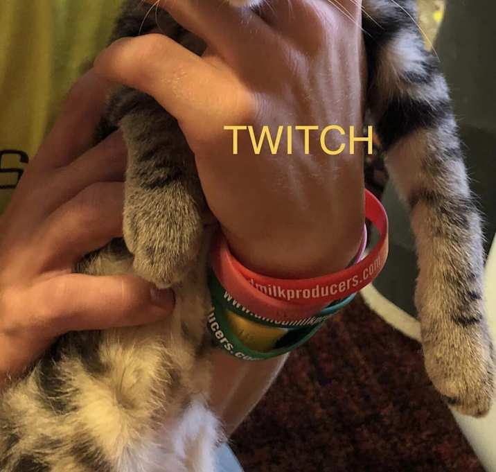 Photo of Twitch
