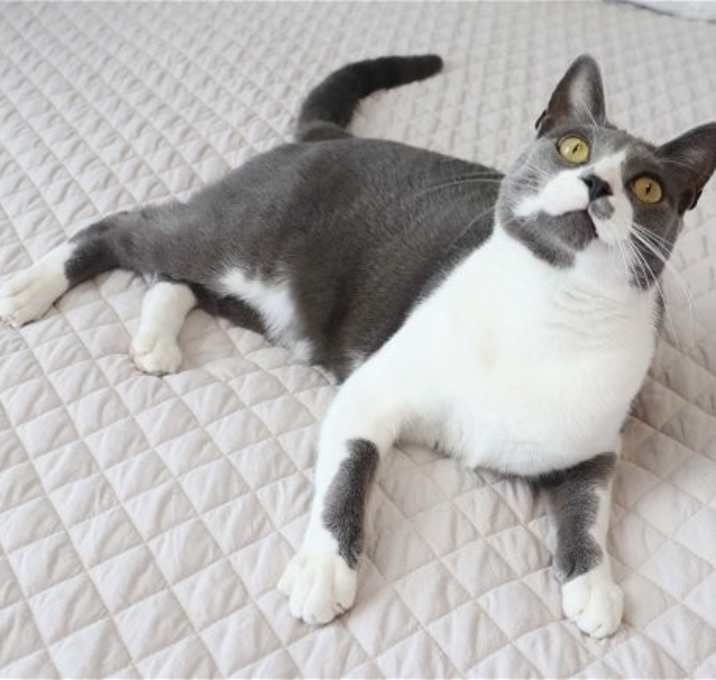 Photo of Elixir
