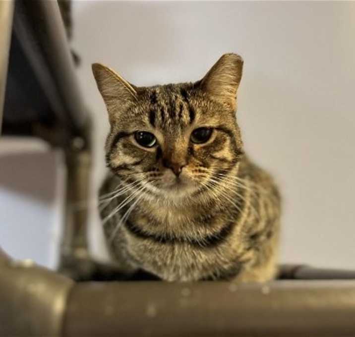 Photo of CHILLY