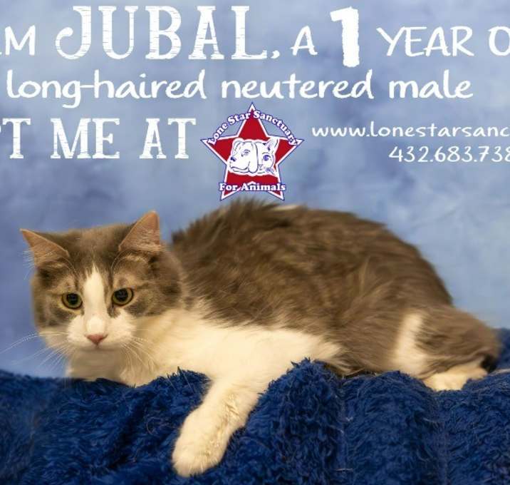 Photo of Jubal