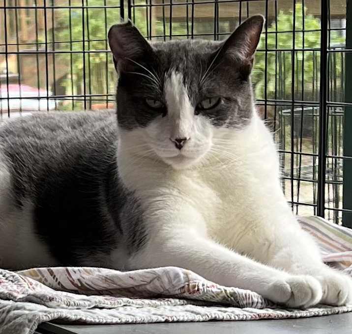Photo of Tommy