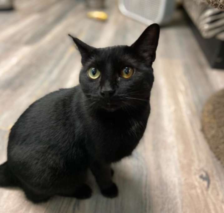 Photo of Missy
