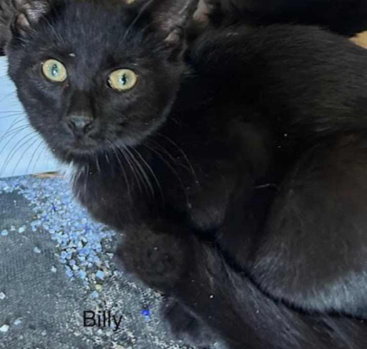 Photo of Billy