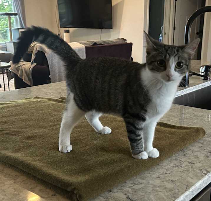 Photo of Sassy