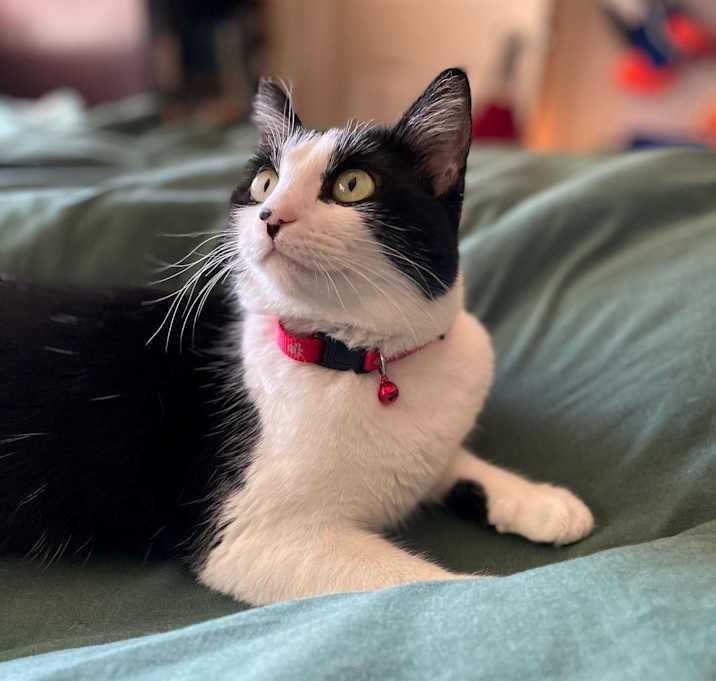 Photo of Phoebe Ann
