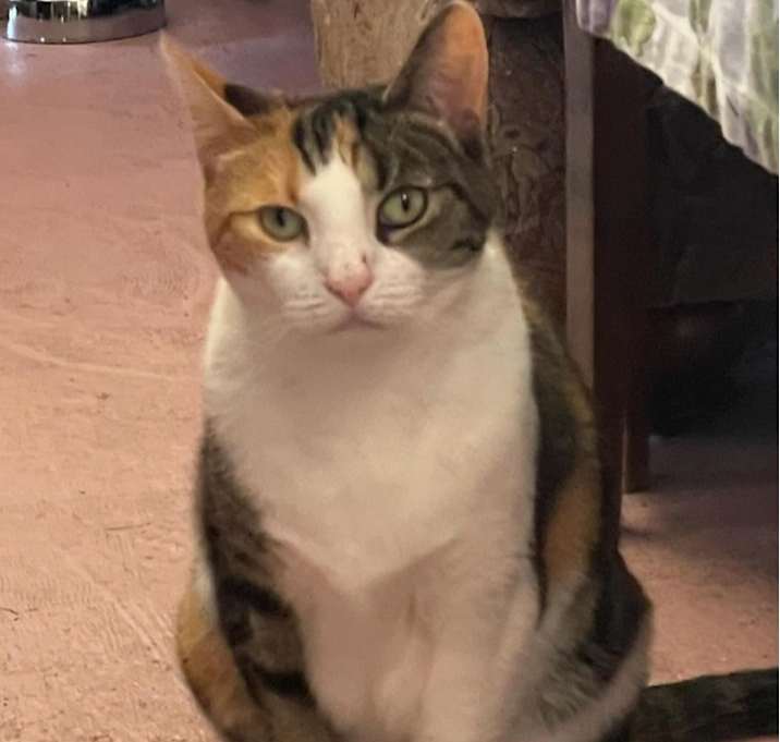 Photo of Diva