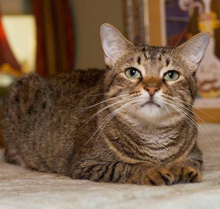 Photo of Winnie