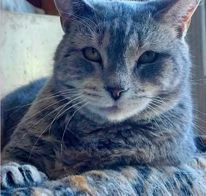 Photo of Nora