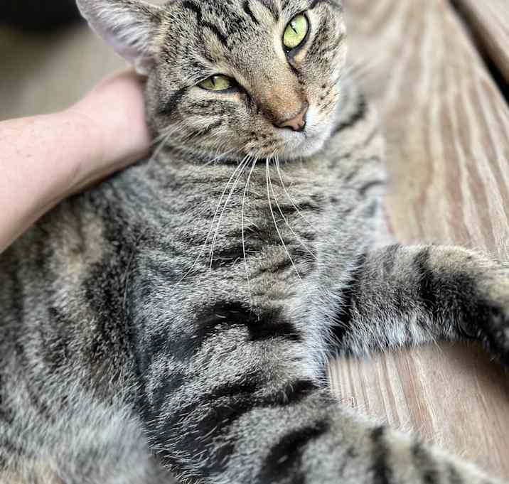 Photo of 97