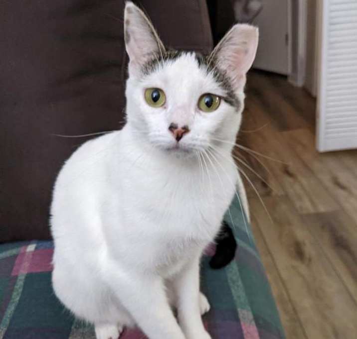 Photo of Athena