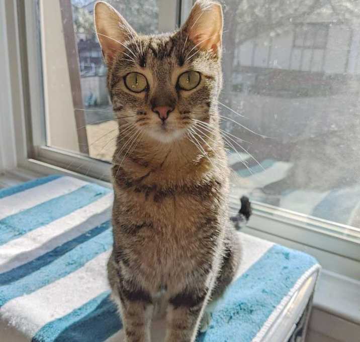 Photo of Hera