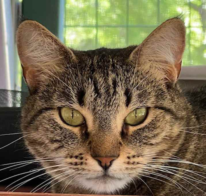 Photo of Sandy