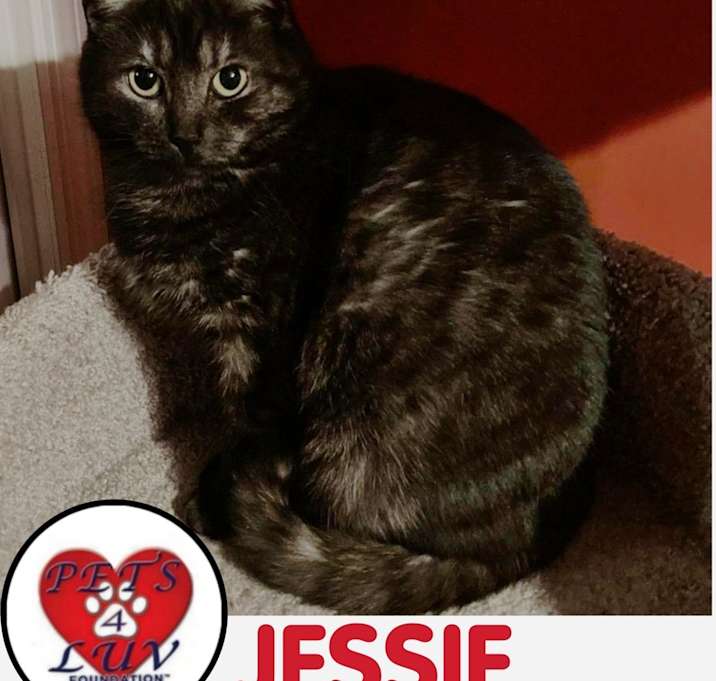 Photo of Jessie