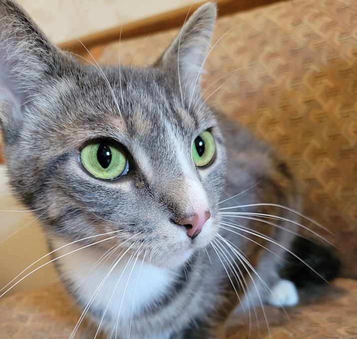 Photo of Max