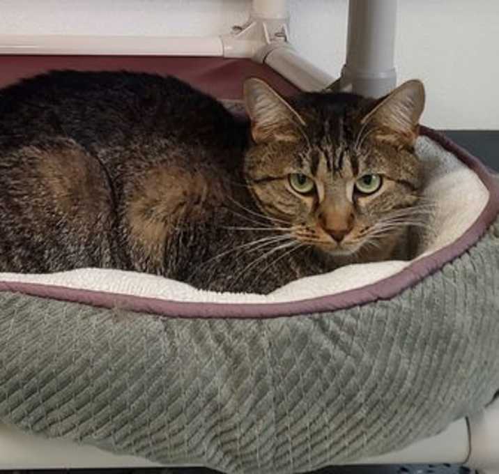 Photo of Dumplin