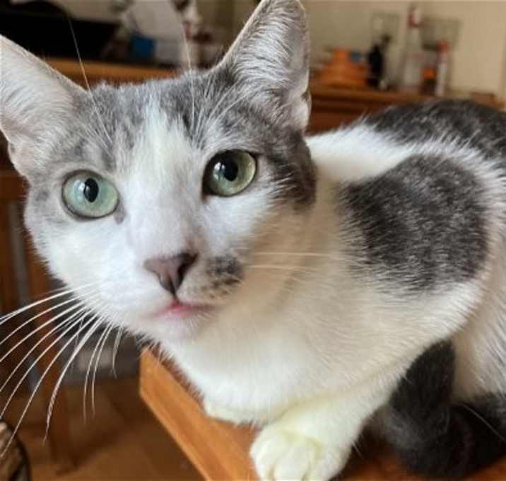 Photo of Marilyn (with the jade eyes!)