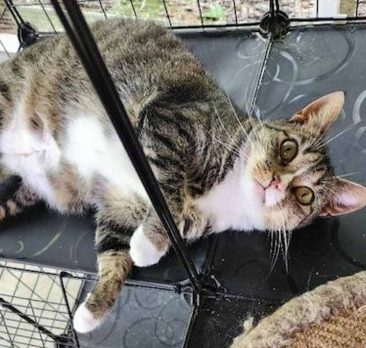 Photo of Bootsie