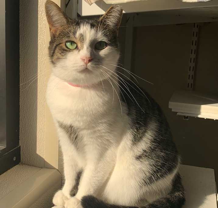 Photo of Chloe