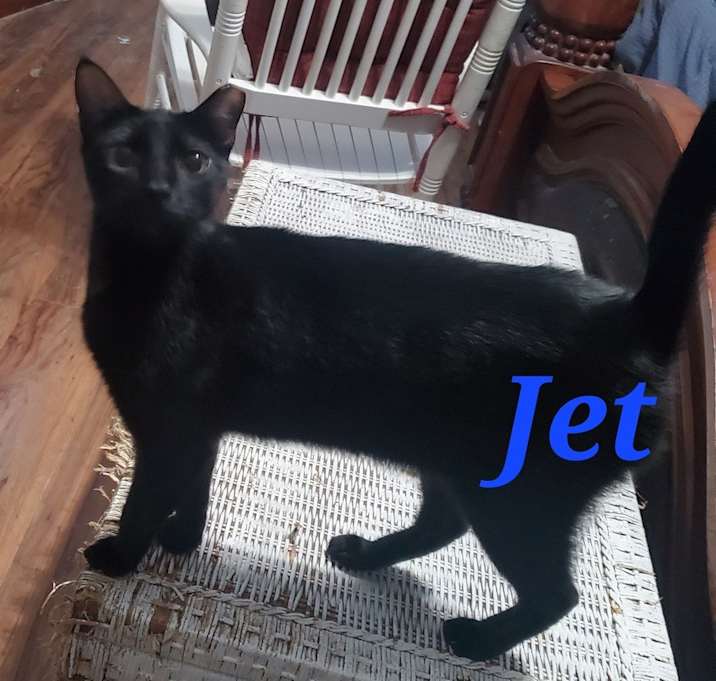 Photo of Jet