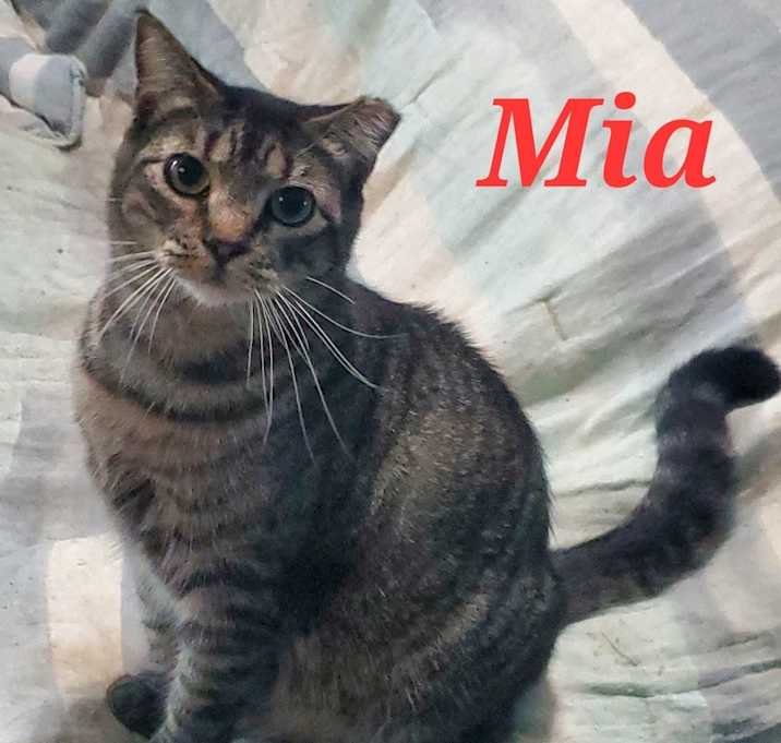 Photo of Mia