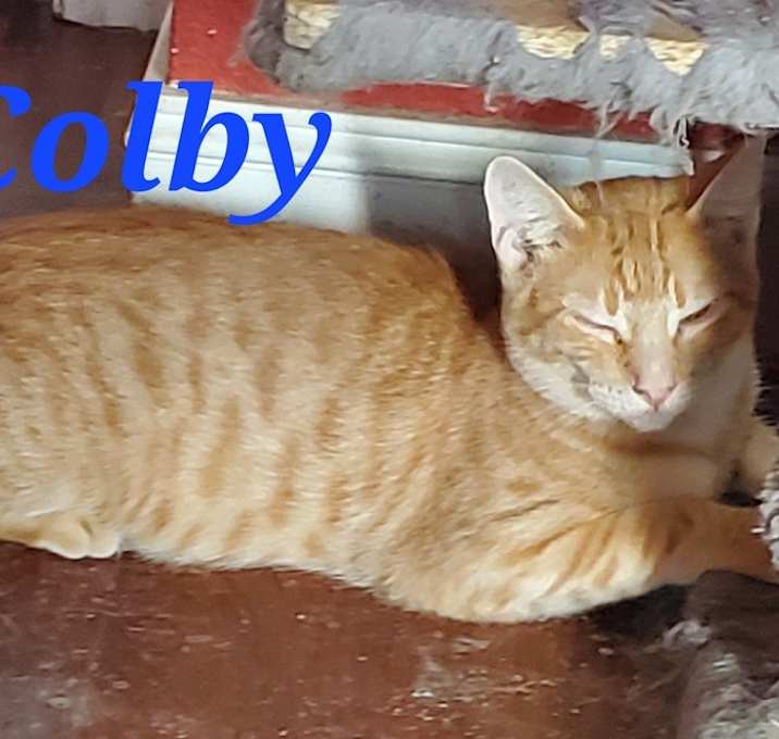 Photo of Colby