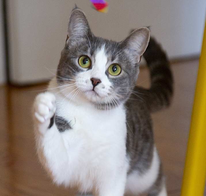 Photo of Suzie