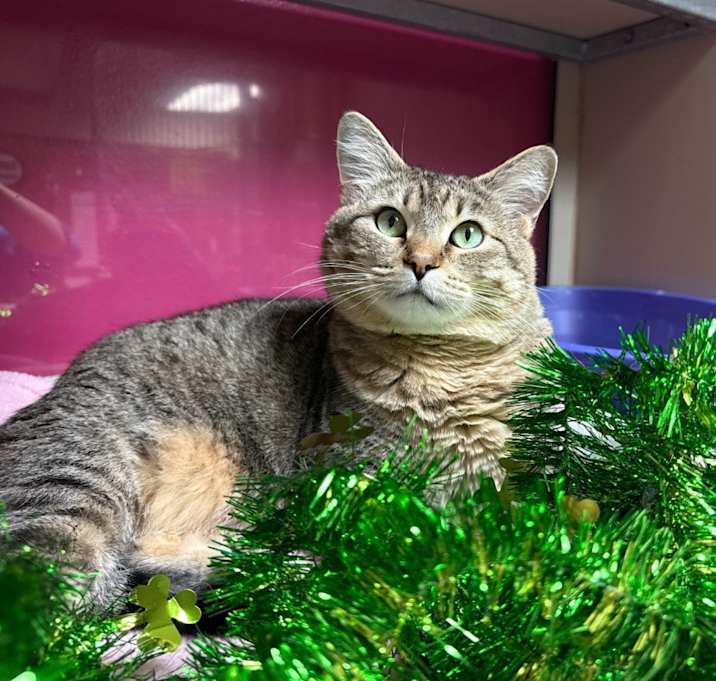 Photo of Sylvie