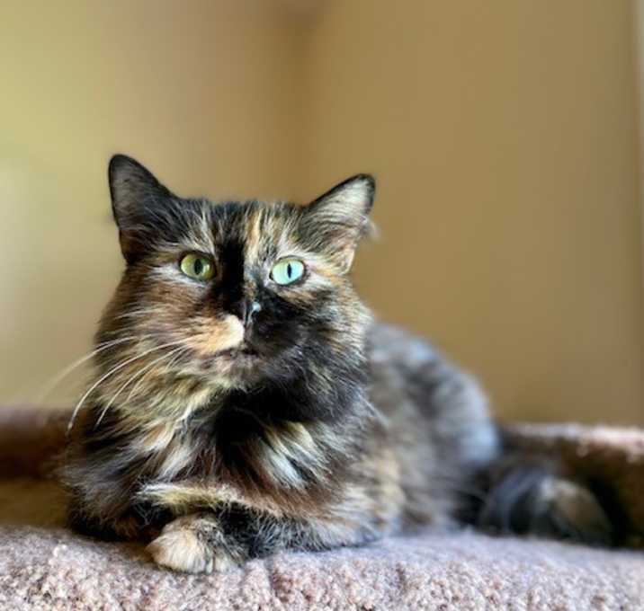 Photo of RADIANT RUTH