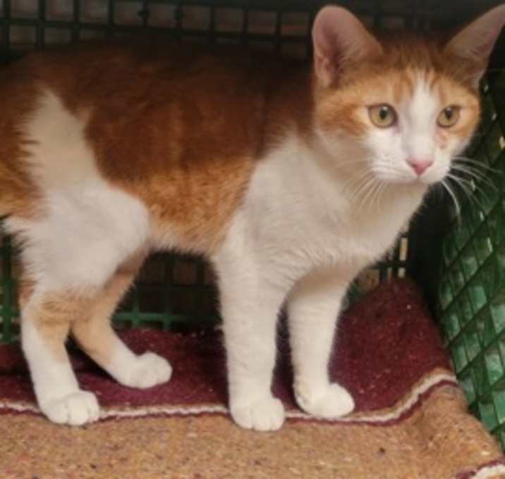 Photo of Hurley