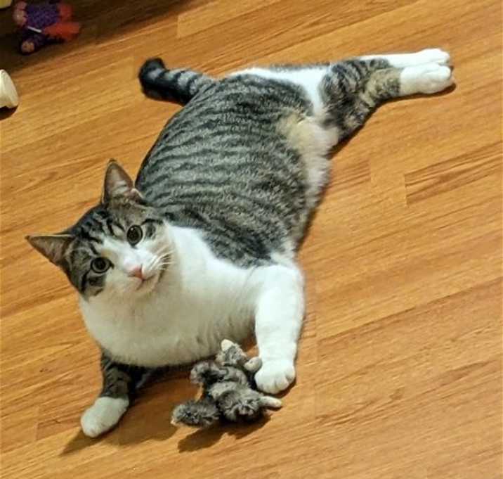Photo of Bootsie